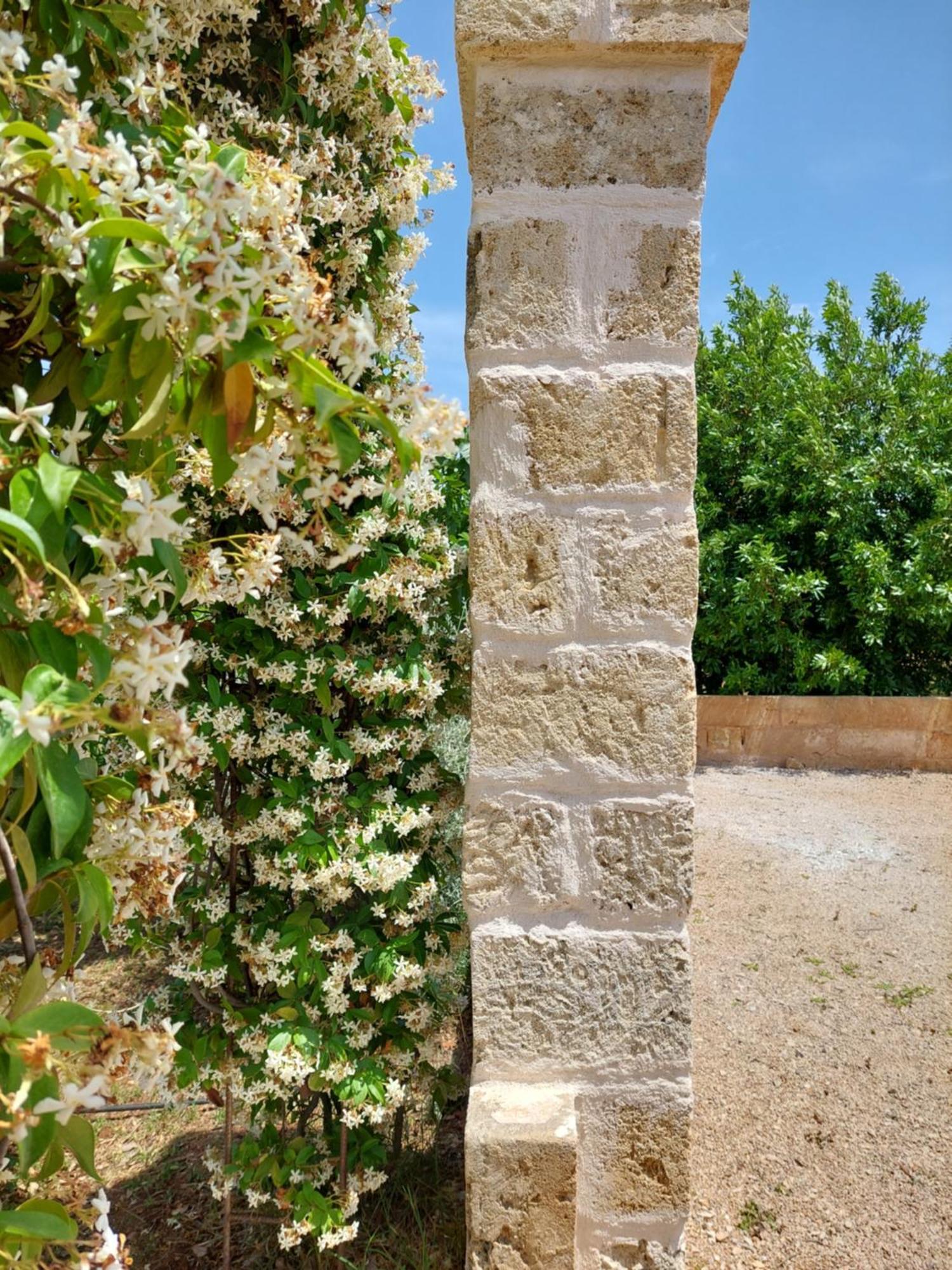 Villa Troisio Torre San Giovanni Exterior foto